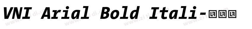 VNI Arial Bold Itali字体转换